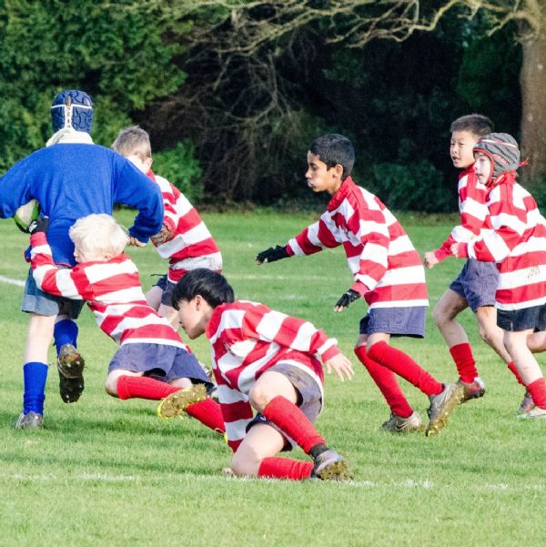 U10C v Cheam (2)